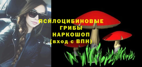 не бодяженный Медвежьегорск